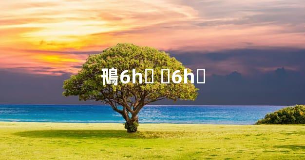 鳵6һǮ 쳵6һǮ